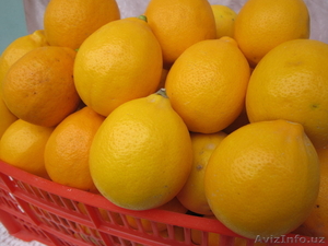 варенье из лимона - Изображение #2, Объявление #1069861
